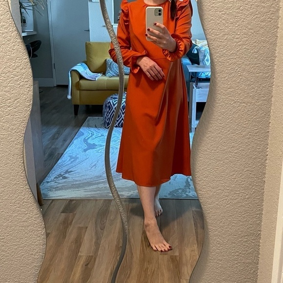 Ann Taylor Dresses & Skirts - ANN TAYLOR ruffle long sleeve burnt orange